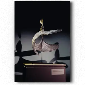 La danseuse de French Cancan