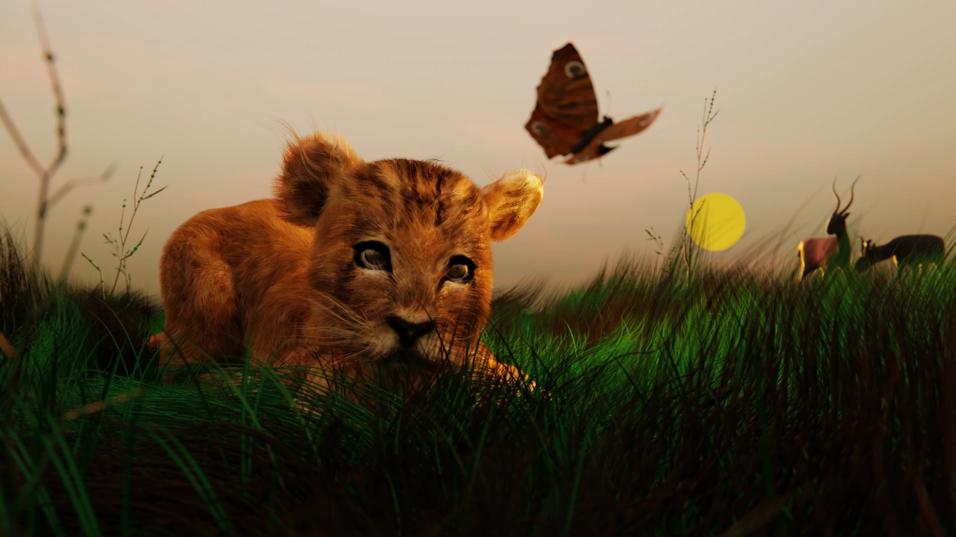 Animaux de la Savanne