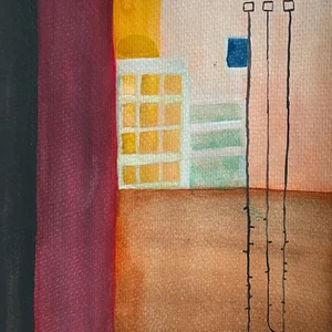 The Grand Canyon state